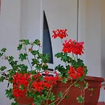 Anka Apartamento
